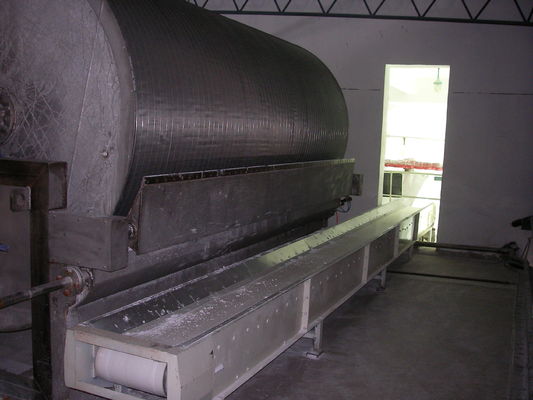 Фильтр роторного барабанчика зоны машинного оборудования 20m2 крахмала SS304 Dewatering
